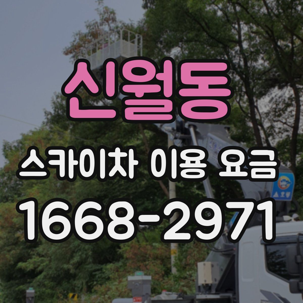 신월동 스카이차 이용 요금