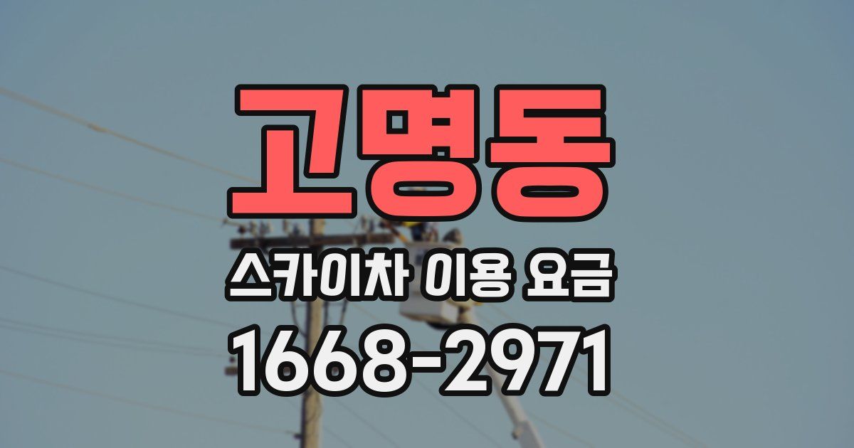 고명동 스카이차 이용 요금