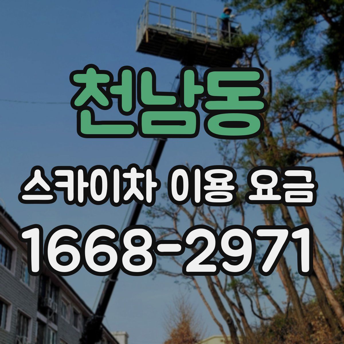 천남동 스카이차 이용 요금