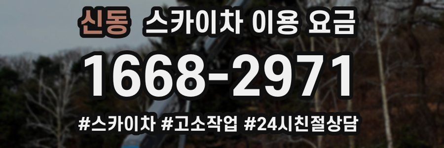 신동 스카이차 이용 요금