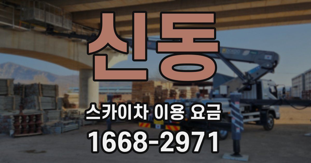 신동 스카이차 이용 요금