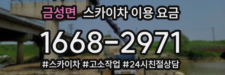 금성면 스카이차 이용 요금