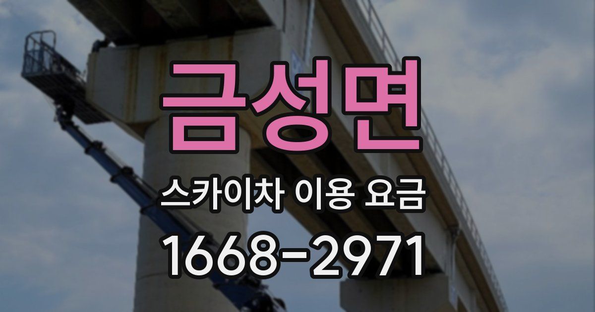 금성면 스카이차 이용 요금