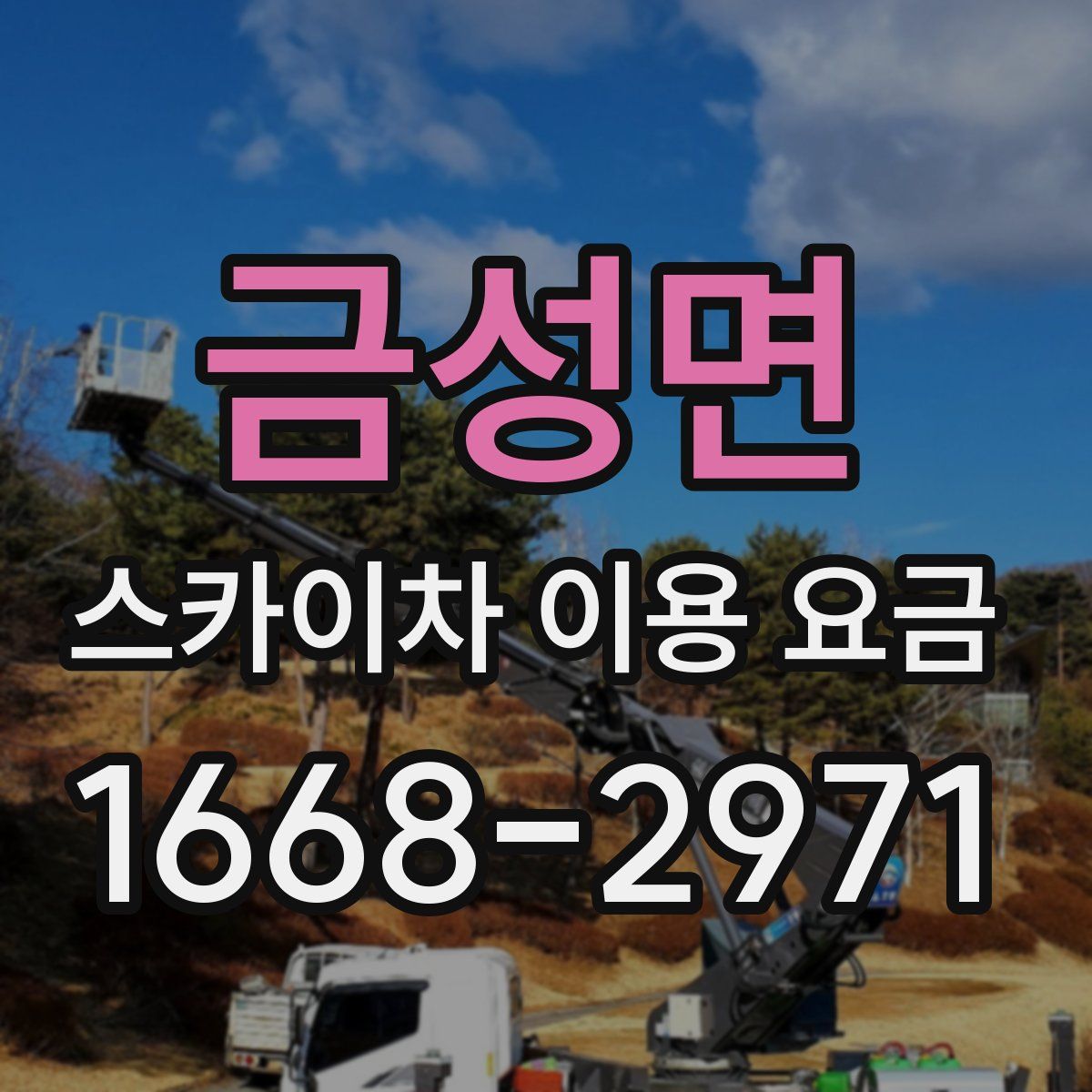금성면 스카이차 이용 요금