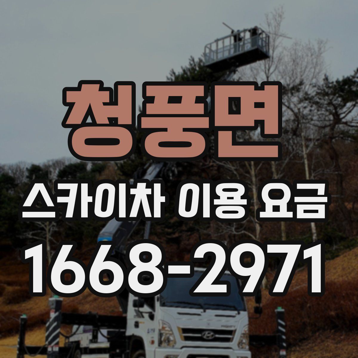 청풍면 스카이차 이용 요금