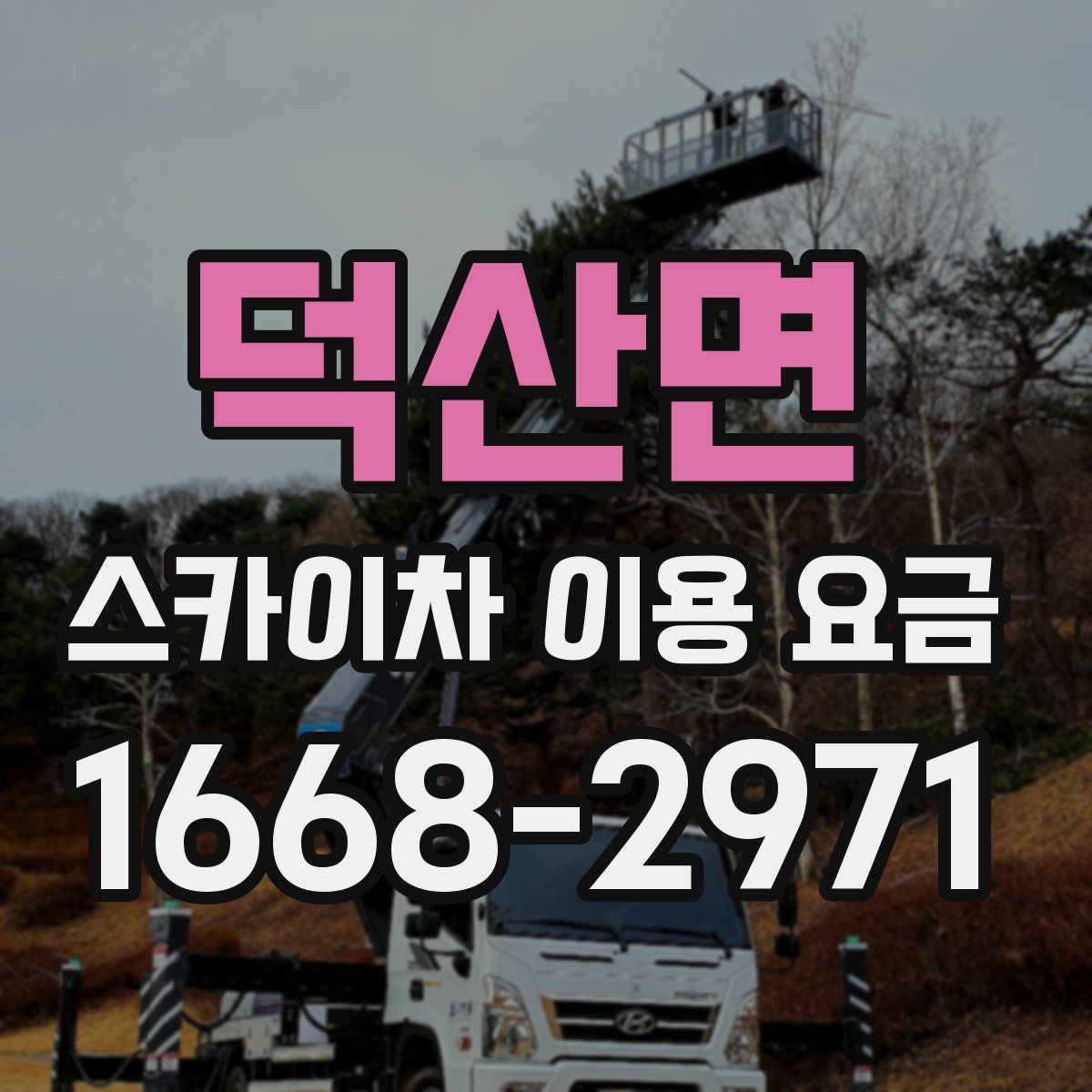 덕산면 스카이차 이용 요금