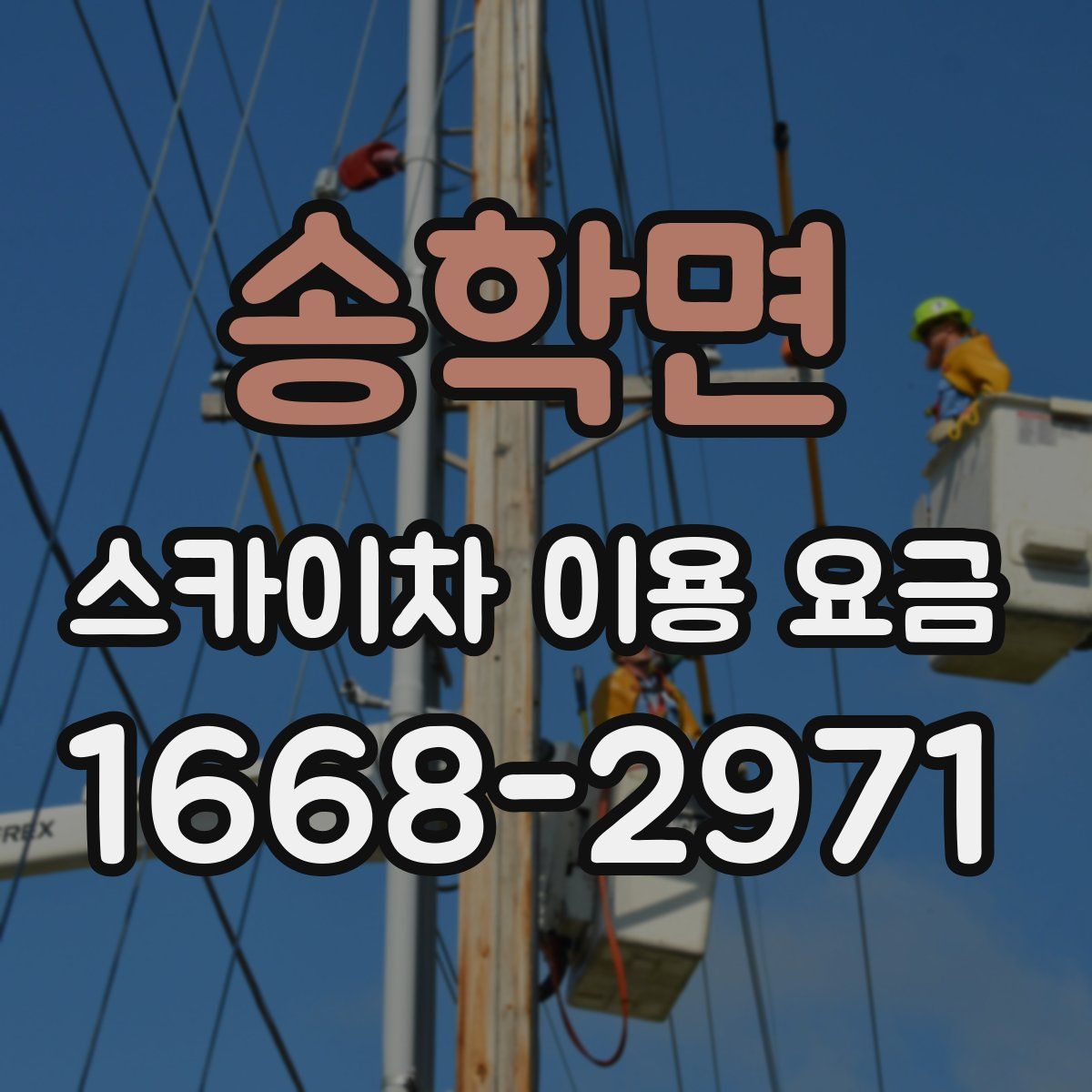 송학면 스카이차 이용 요금