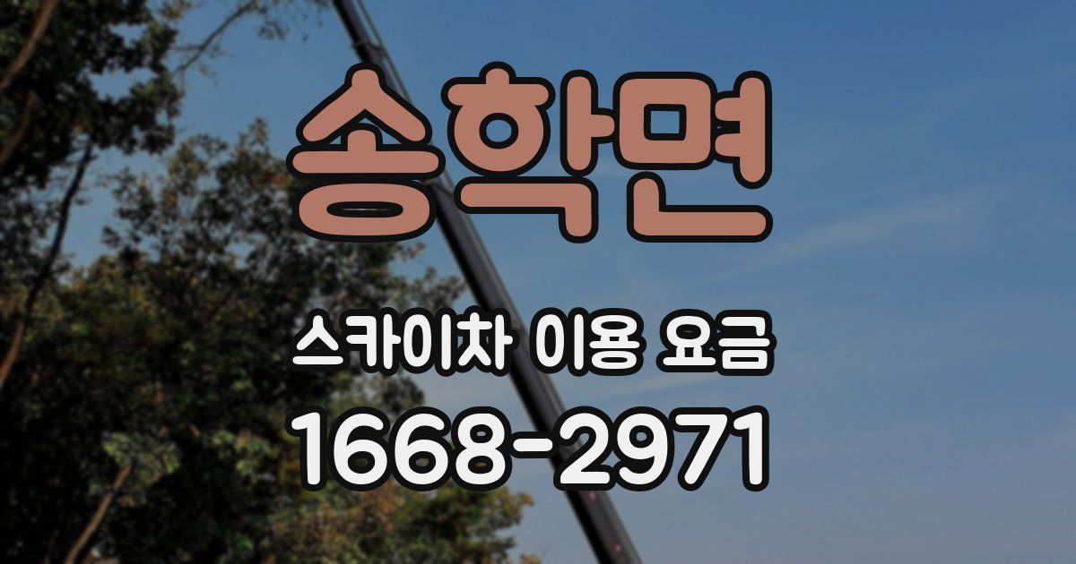 송학면 스카이차 이용 요금
