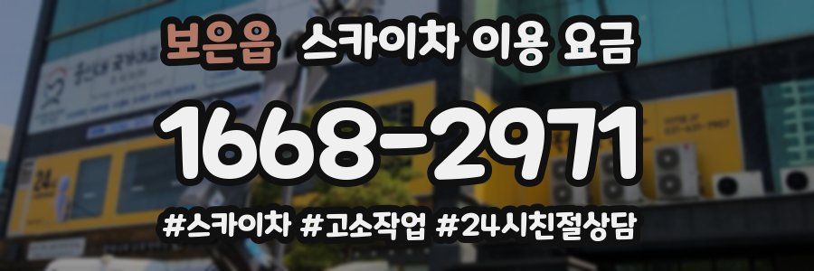 보은읍 스카이차 이용 요금