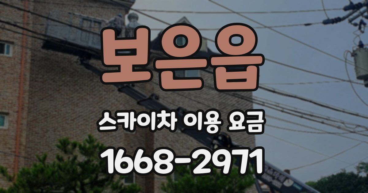 보은읍 스카이차 이용 요금