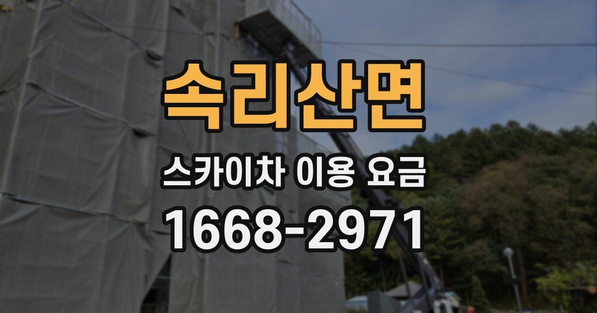 속리산면 스카이차 이용 요금