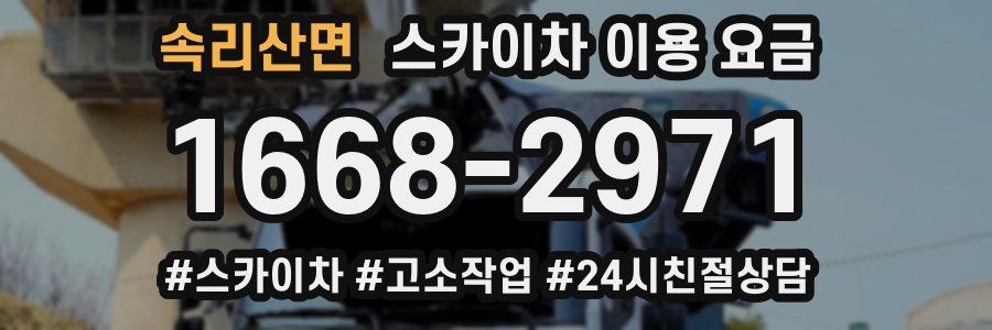 속리산면 스카이차 이용 요금