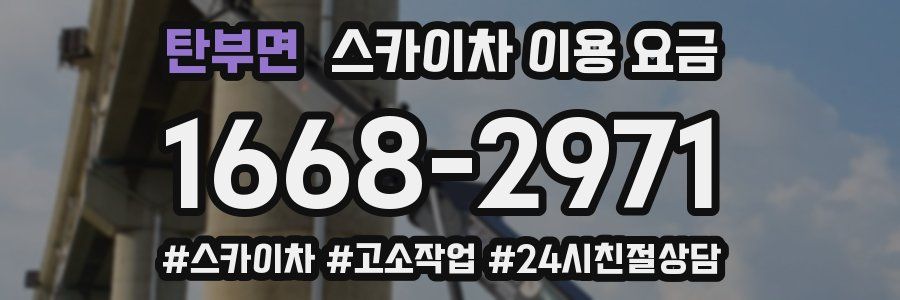 탄부면 스카이차 이용 요금