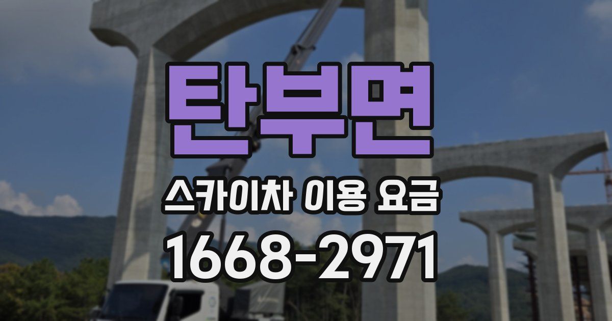 탄부면 스카이차 이용 요금