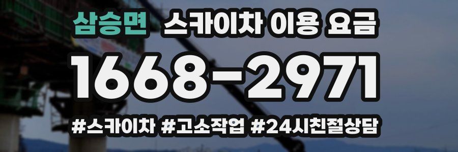 삼승면 스카이차 이용 요금