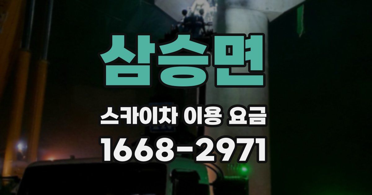 삼승면 스카이차 이용 요금