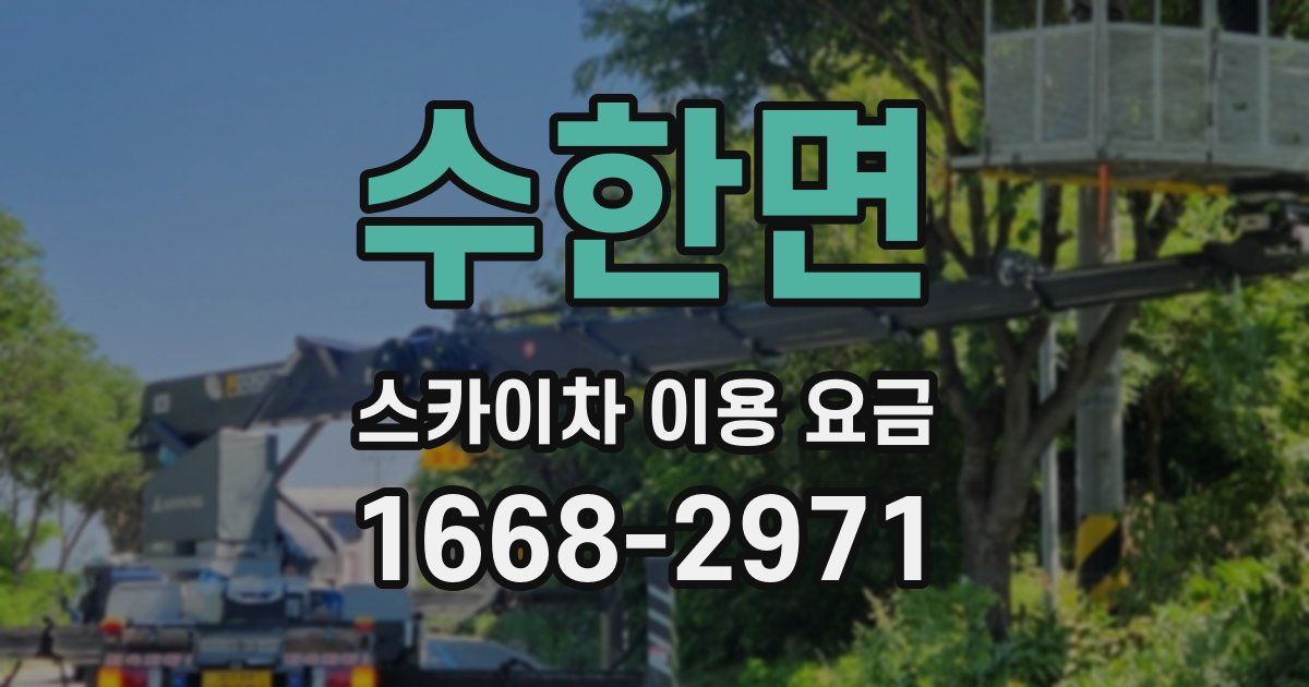 수한면 스카이차 이용 요금