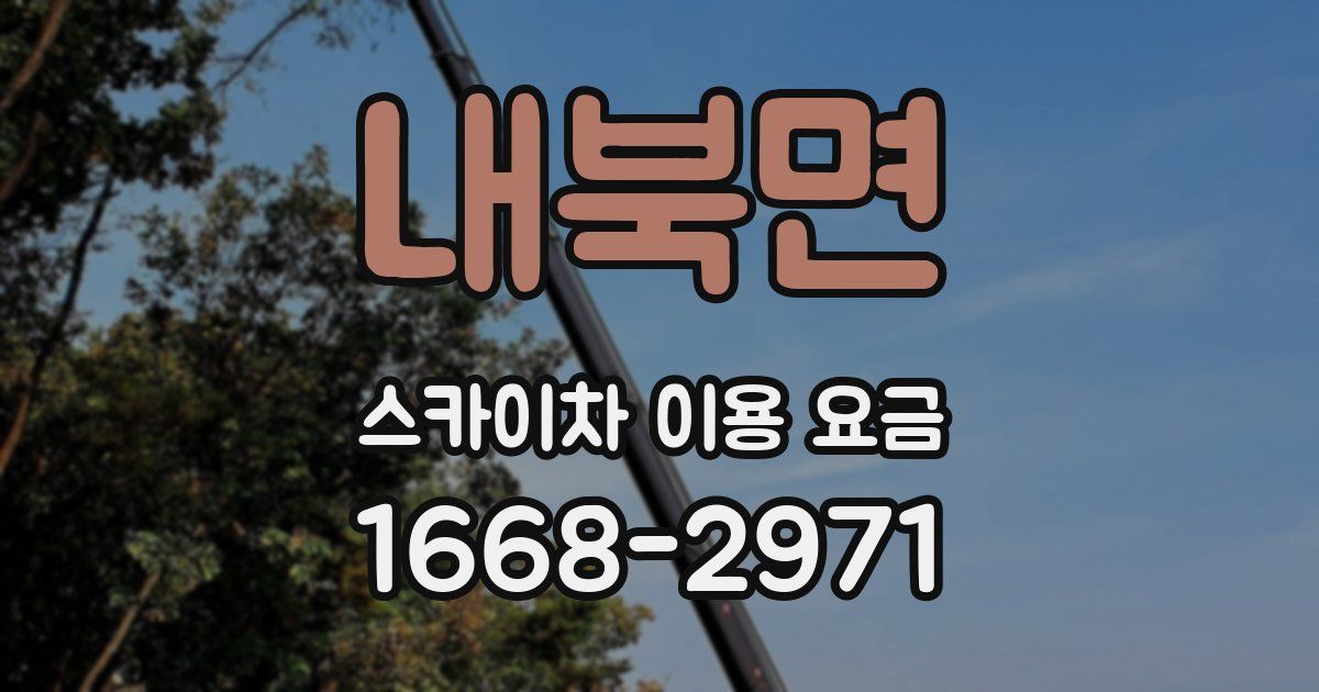 내북면 스카이차 이용 요금