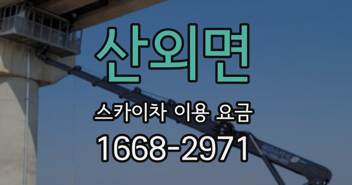 산외면 스카이차 이용 요금