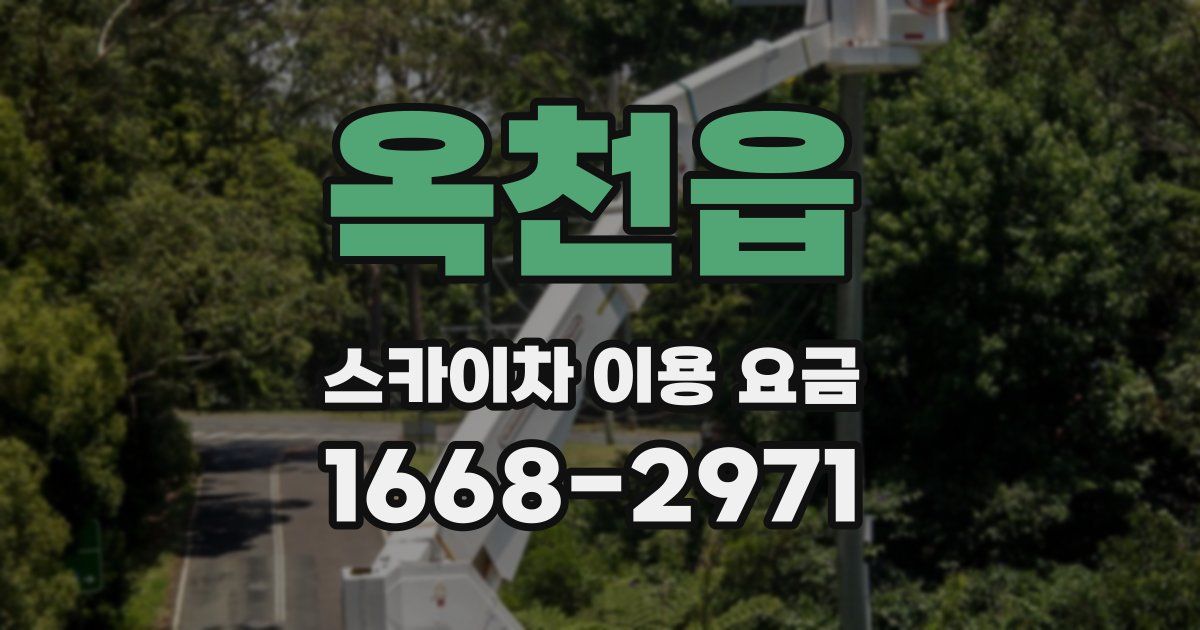 옥천읍 스카이차 이용 요금