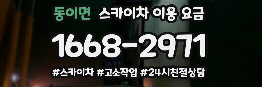 동이면 스카이차 이용 요금