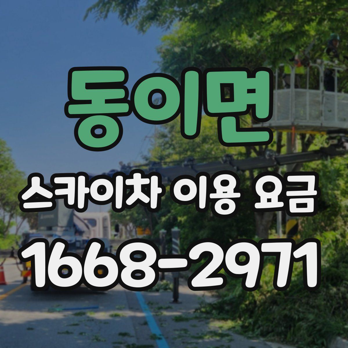 동이면 스카이차 이용 요금