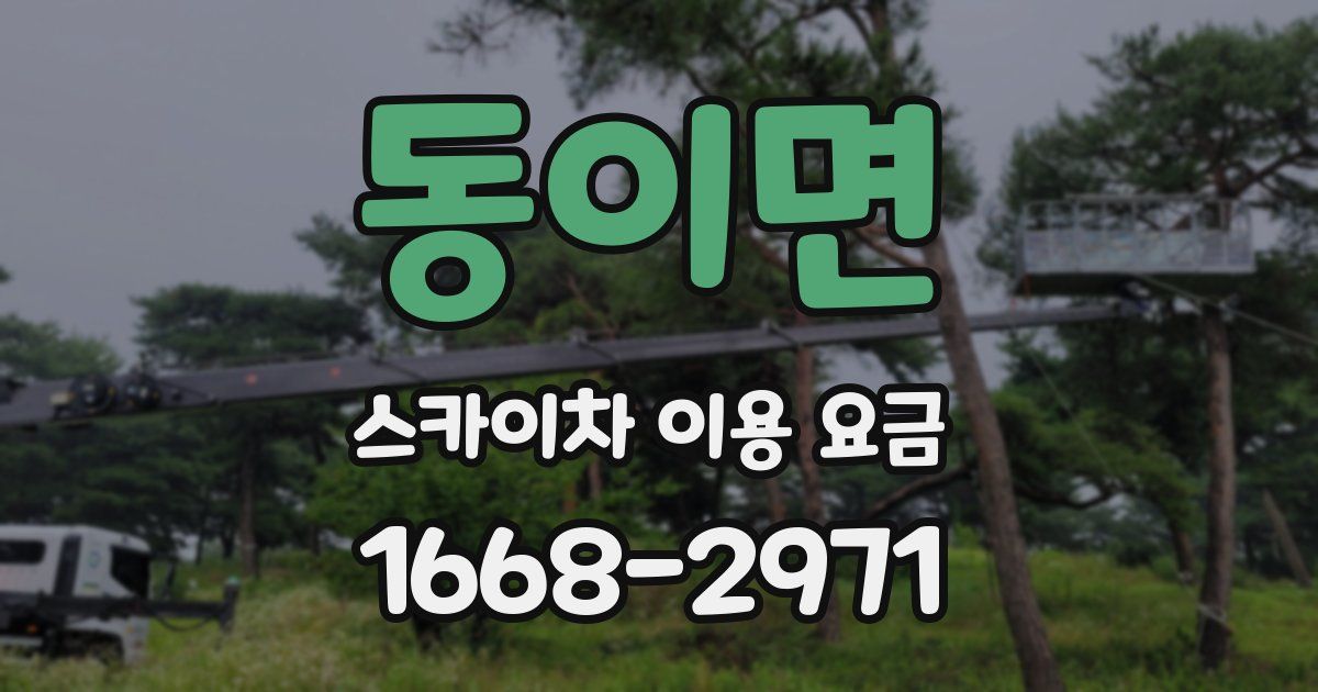 동이면 스카이차 이용 요금