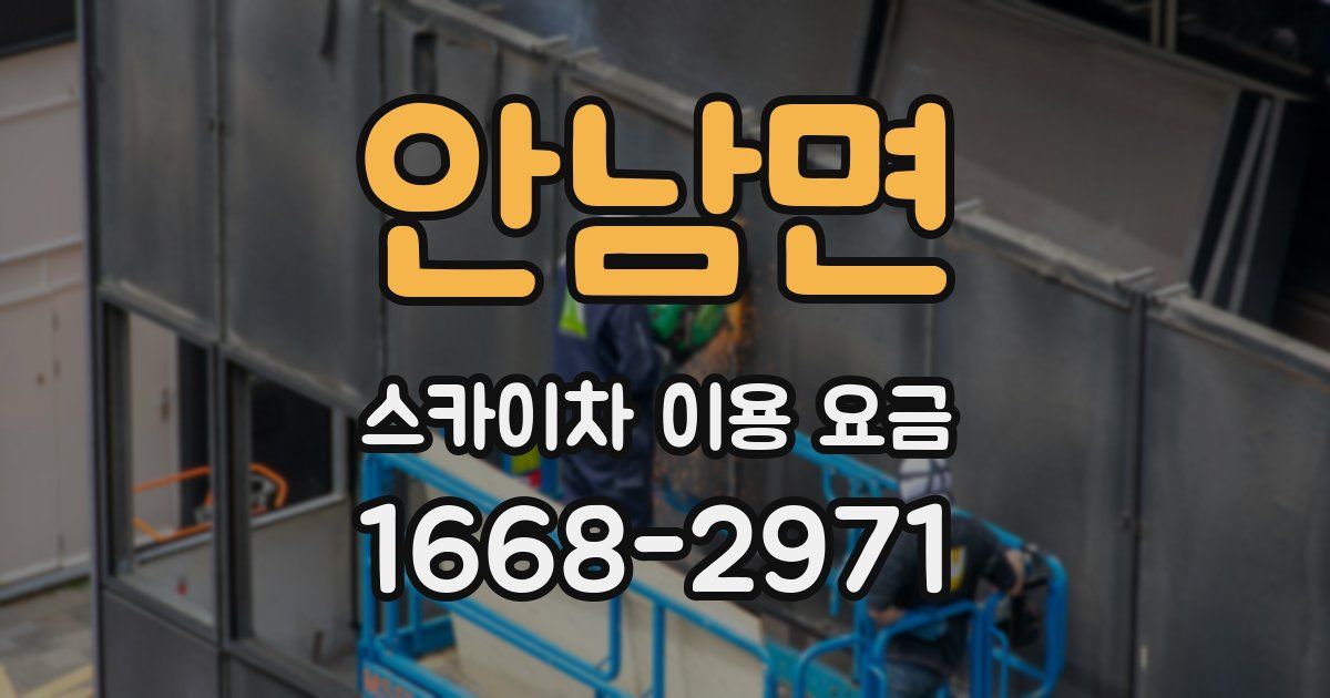 안남면 스카이차 이용 요금