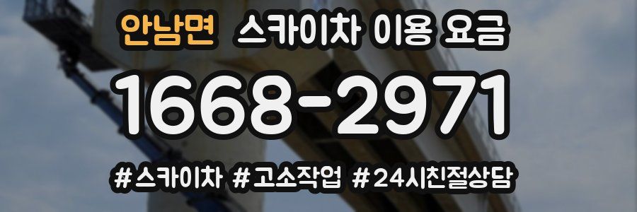 안남면 스카이차 이용 요금