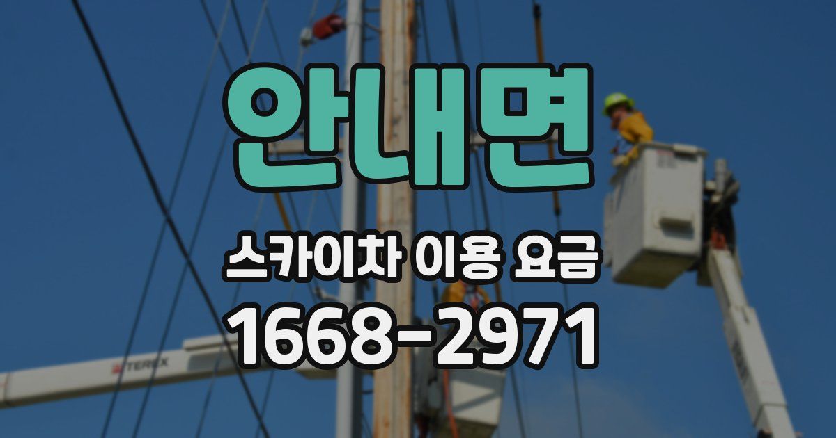 안내면 스카이차 이용 요금