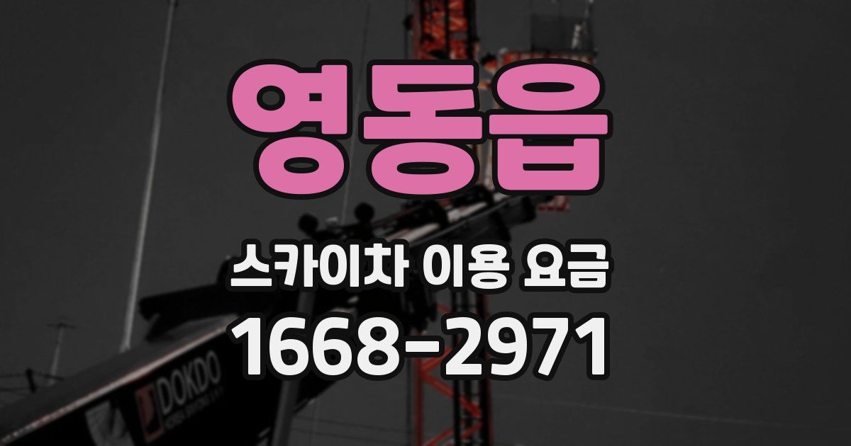 영동읍 스카이차 이용 요금