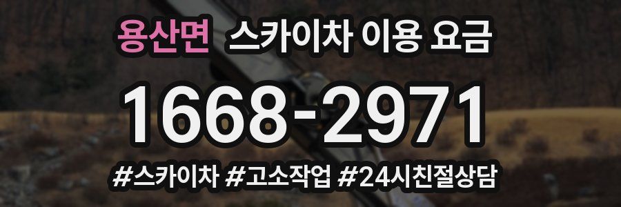 용산면 스카이차 이용 요금