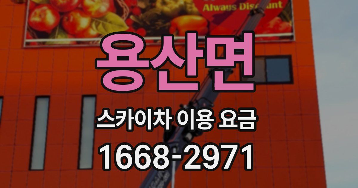 용산면 스카이차 이용 요금