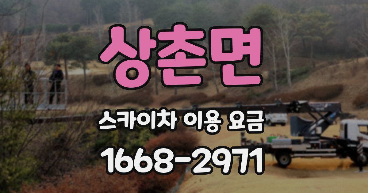 상촌면 스카이차 이용 요금