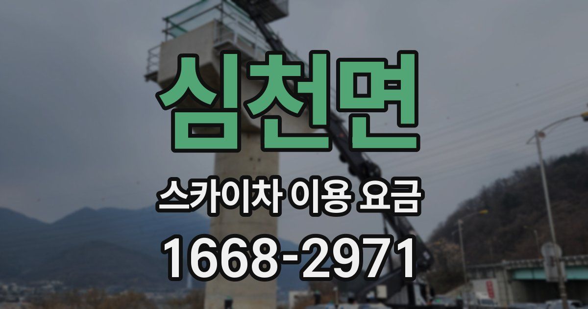 심천면 스카이차 이용 요금