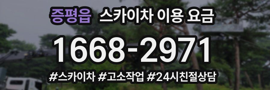 증평읍 스카이차 이용 요금