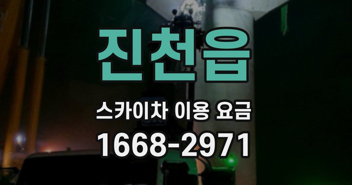 진천읍 스카이차 이용 요금