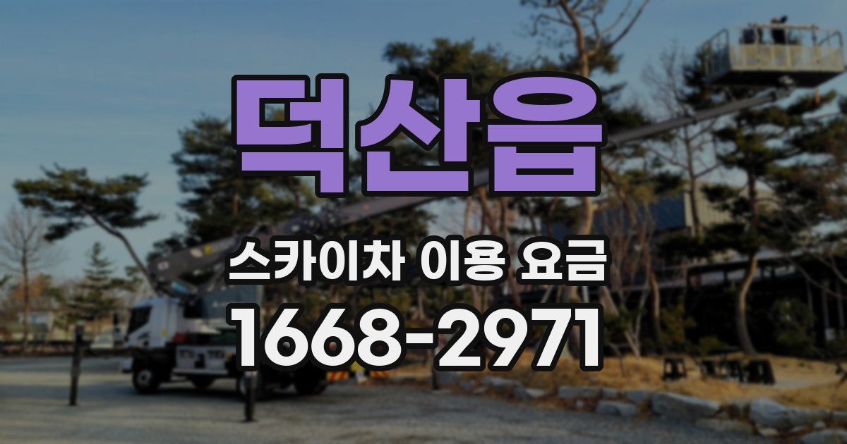 덕산읍 스카이차 이용 요금