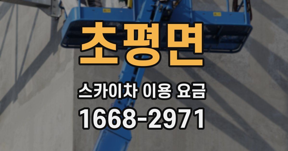 초평면 스카이차 이용 요금