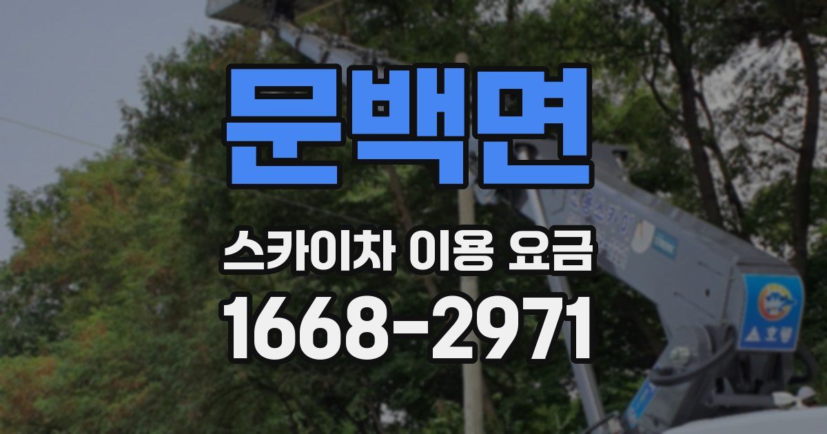 문백면 스카이차 이용 요금