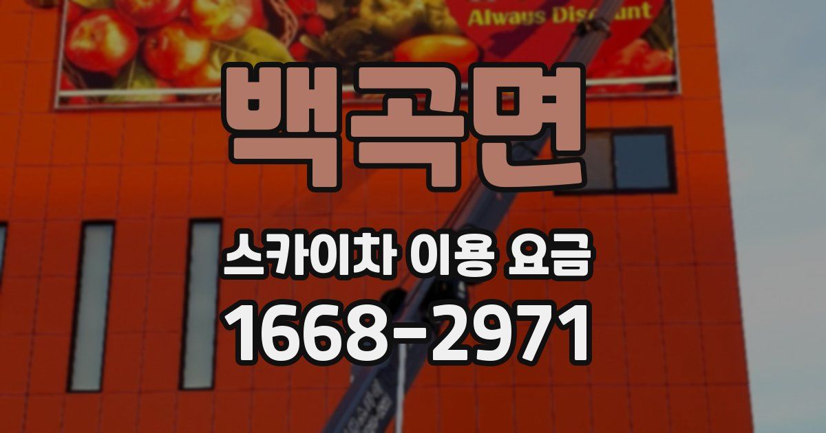 백곡면 스카이차 이용 요금