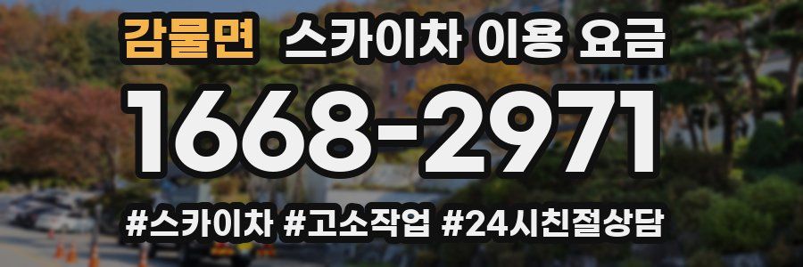 감물면 스카이차 이용 요금