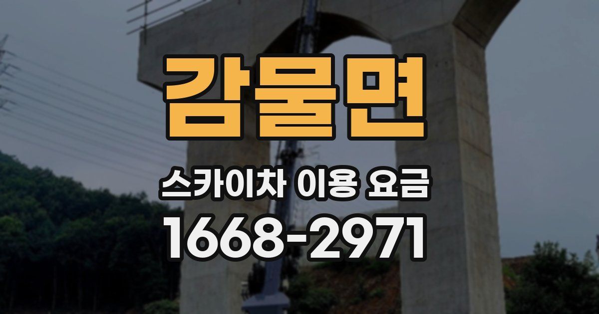 감물면 스카이차 이용 요금