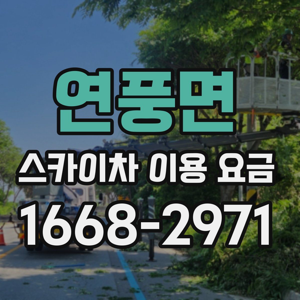 연풍면 스카이차 이용 요금