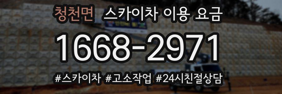 청천면 스카이차 이용 요금