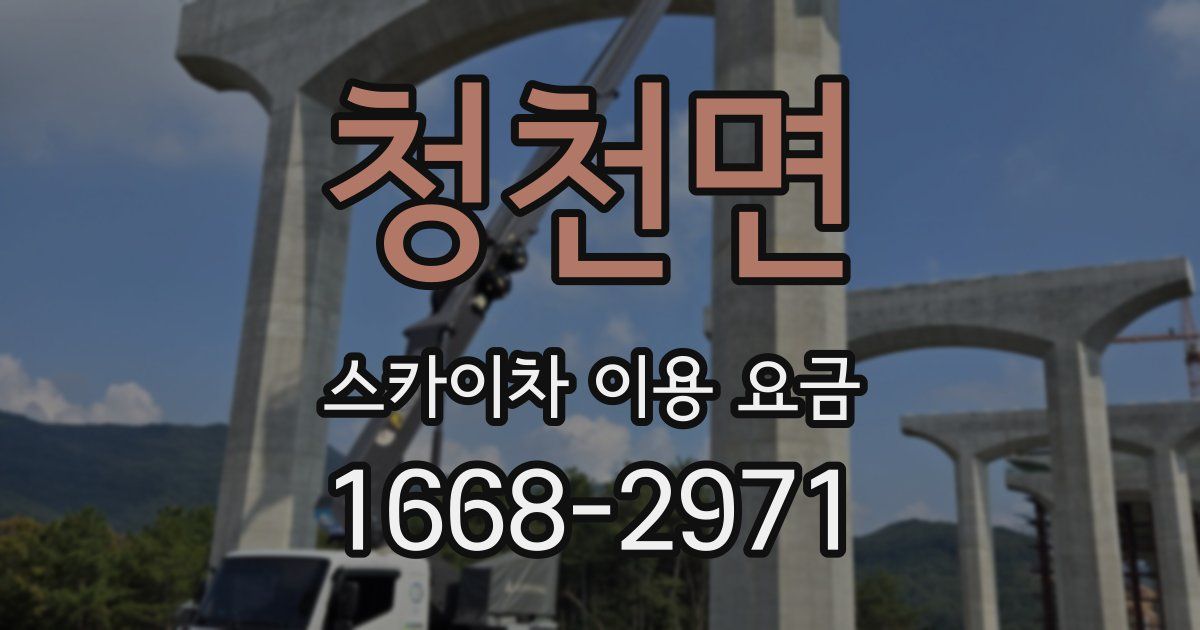 청천면 스카이차 이용 요금
