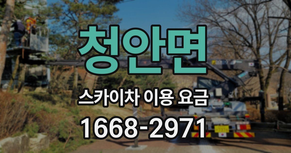 청안면 스카이차 이용 요금