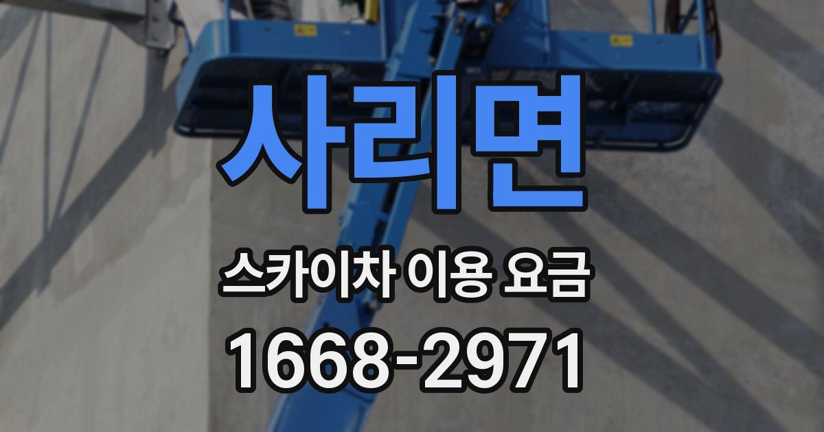 사리면 스카이차 이용 요금