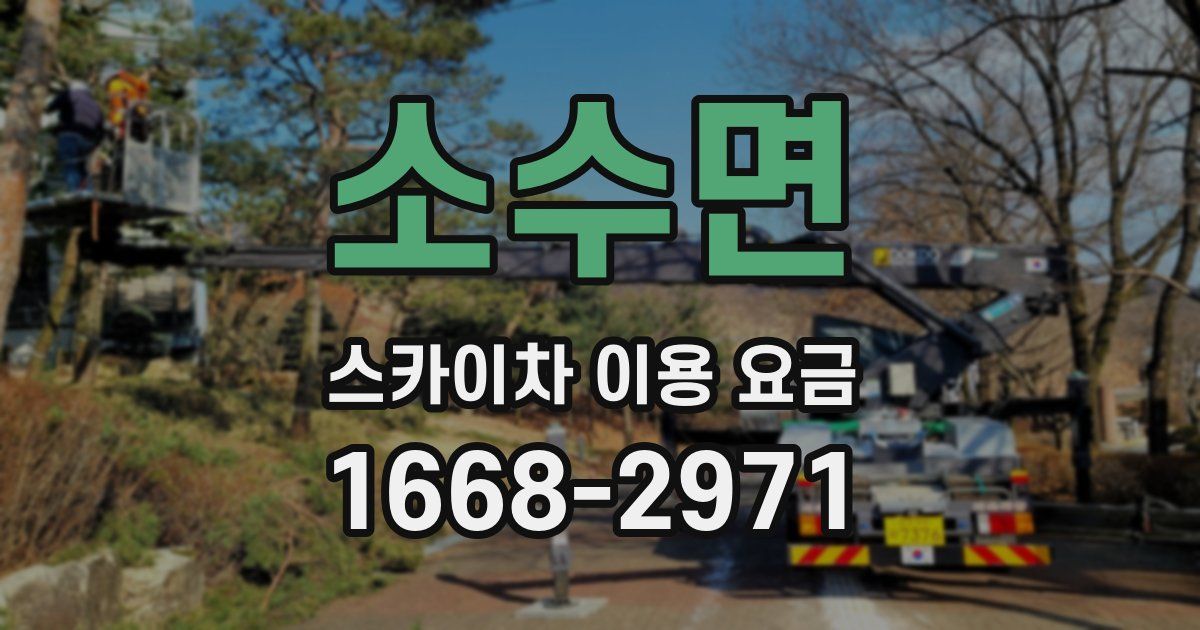 소수면 스카이차 이용 요금