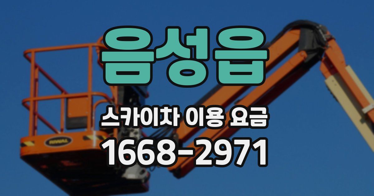 음성읍 스카이차 이용 요금